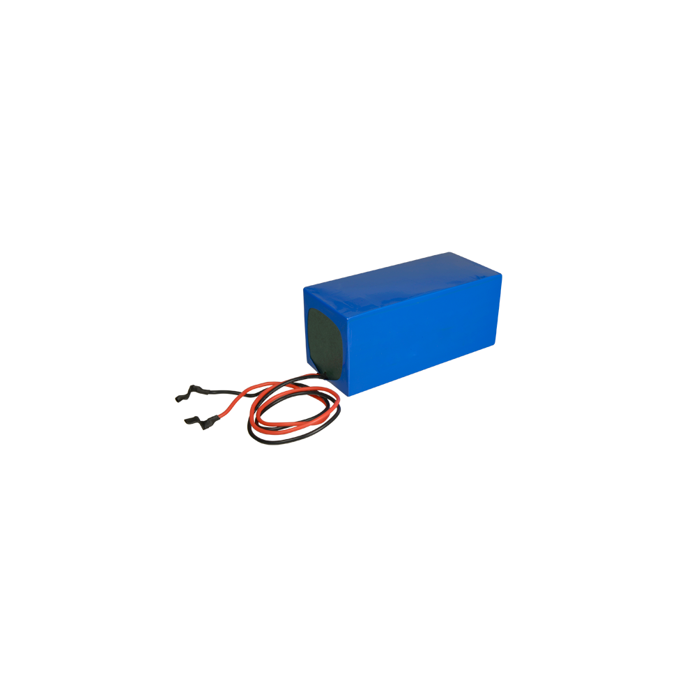 BAT12100-LIFEPO4